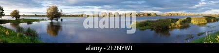 Panorama, Lower Oder Valley National Park, or at high tide Stock Photo