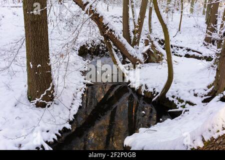 Small river in the middle of the forest in winter in Germany, snow-covered forest floor Stock Photo
