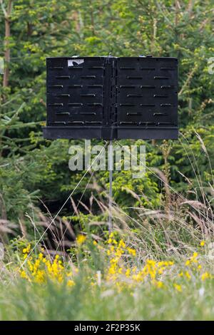 Bark beetle trap, Spessart, Hesse, Germany Stock Photo