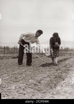 Photograph by Dorothea Lange. Stock Photo