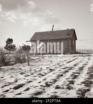 Widtsoe farm home. Resettlement Administration purchase. Utah. April 1936.  Photograph by Dorothea Lange. Stock Photo