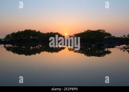 Sunrise over mangrove trees on a Bundaberg beach Stock Photo