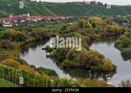 View from the vineyards near Koehler to the Volkacher Mainschleife and the wine villages of Escherndorf and Nordheim am Main on the Weininsel, Unterfanken, Bavaria, Germany Stock Photo