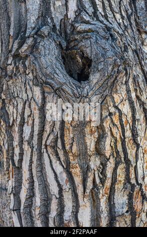 Photo taken in March. Stock Photo