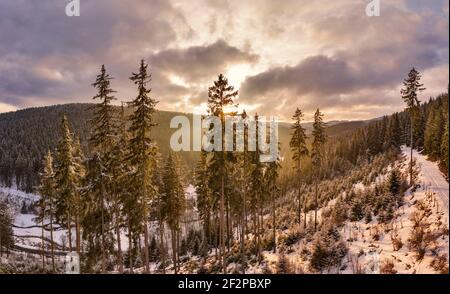 Germany, Thuringia, Gehren, forest, trees, path, valley, snow, Rennsteig environment, back light Stock Photo