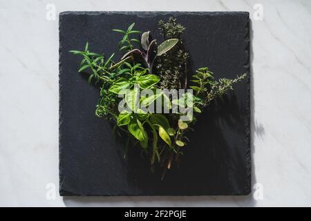 Bundle of Italian Mediterranean herbs for cooking on a black slate plate Stock Photo
