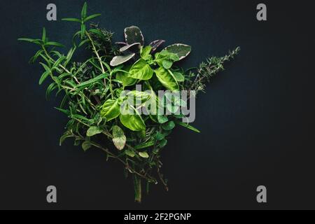 Modern styled bundle of Italian Mediterranean herbs for cooking on black background Stock Photo