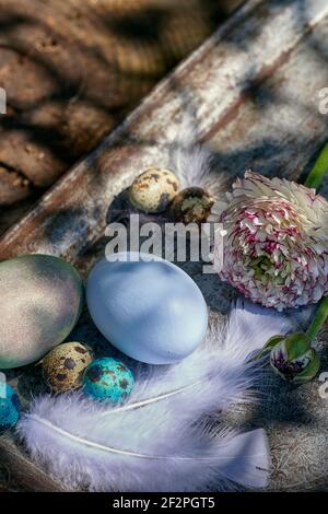 Oster-Dekorationen mit Frühlingsblumen, Ranunkeln und Anemonen Stock Photo