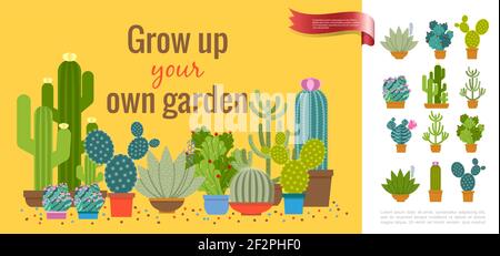Colorful cactuses home garden concept with different kinds of succulent plants growing in pots in flat style vector illustration Stock Vector