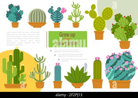 Flat cactuses home garden composition with beautiful succulent plants growing in pots vector illustration Stock Vector