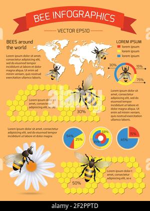 Honey bee on daisy and comb background infographic with world map vector illustration Stock Vector