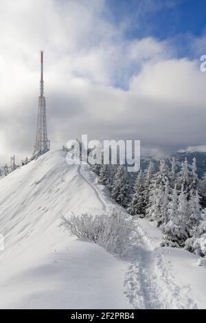 Snowy winter landscape on the summit of the Grünten with a transmission mast. Allgäu Alps, Bavaria, Germany Stock Photo