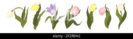 Tulips Collection. Vector hand drawn set of colorful tulips flowers isolated on white background. Wild spring wildflower with leaf in flat style. Symb Stock Vector
