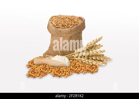 Wheat flour Bunch of wheat ears, dried grains in wooden bowl, flour in wooden bowl on white background. Cereals harvesting, bakery products Stock Photo