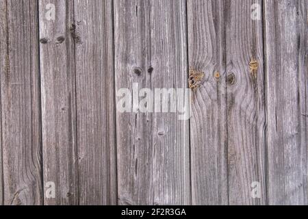 An old wood plank texture - perfect for background Stock Photo
