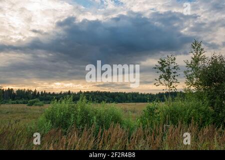Before the rain. Thundercloud over an agricultural field on a summer evening Stock Photo