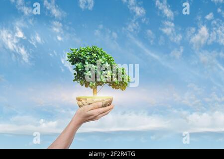 Saving Earth concept. Human hand holding Globe with a tree over blue sky background. Elements of this image furnished by NASA Stock Photo