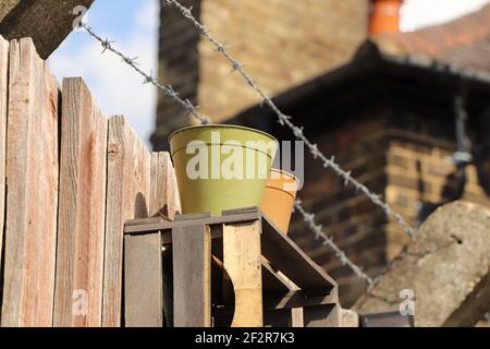 Plant pot in the sun in front of a barbed wire topped fence Stock Photo