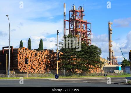 Pine logs stacked in an industrial area. In the background is the chemical plant that will turn them into resin Stock Photo