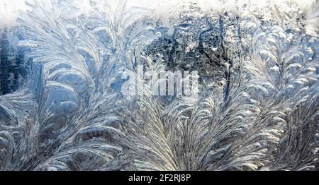 frost pattern on a window glass in the winter (as an abstract winter background) Stock Photo