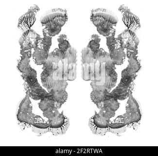 Rorschach test isolated on white illustration, random abstract black and white background. Psycho diagnostic inkblot test. Stock Photo