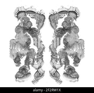 Rorschach test isolated on white illustration, random abstract black and white background. Psycho diagnostic inkblot test. Stock Photo
