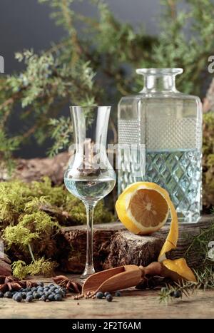 Gin in a small glass and lemon. Anise, coriander, and juniper berries are scattered on a wooden table. Stock Photo