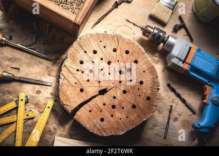 Making wooden insect hotel or house in workshop. DIY and work tools on table. Drill, folding meter, chisel and other carpentry equipment Stock Photo