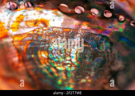 Close-up of mother of pearl. Multicolor texture of seashell, multicolor nacre texture. Colored nacre background Stock Photo