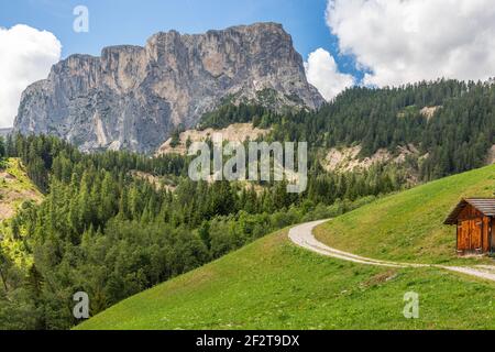 A picturesque path through an alpine meadow in the Italian Dolomites for hiking and cycling. Italian Alps, Corvara in Badia. Stock Photo