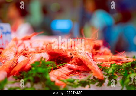Fresh red prawns on the Spanish fish market.  Selective focus. Bokeh Stock Photo