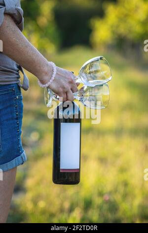 Woman holding red wine bottle with blank label and drinking glass at vineyard. Getting ready for garden party Stock Photo