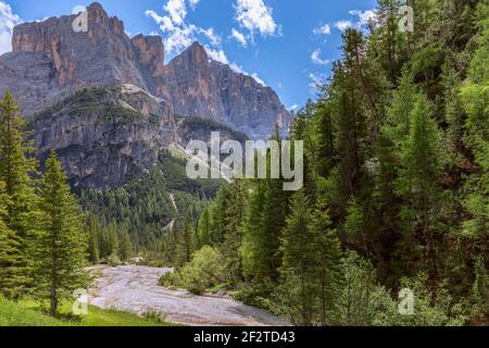 Mountain stream in the Italian Dolomite Alps surrounded by fresh forest Stock Photo