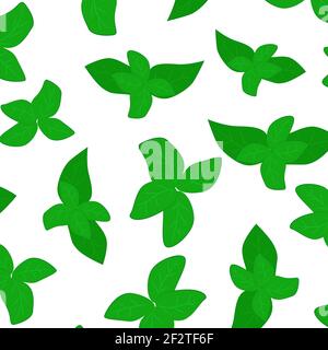 Seamless background with basil leaves. A repeating solid pattern with greenery.Vector. Stock Vector