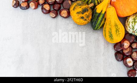 Selection of various pumpkins and chestnuts on textured grey concrete background. Flat lay autumn composition with copy space Stock Photo