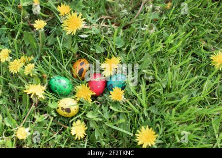 Hidden in the grass Easter eggs, which are painted in different colors Stock Photo