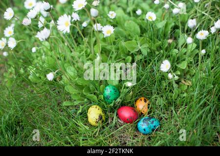Hidden in the grass Easter eggs, which are painted in different colors Stock Photo