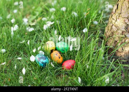 Hidden in the grass Easter eggs, which are painted in different colors Stock Photo