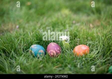 Hidden in the grass Easter eggs, which are painted in different colors Stock Photo
