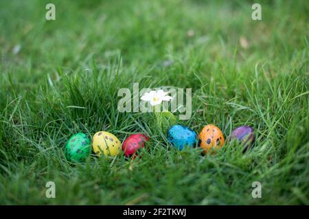 Hidden in the grass Easter eggs, which are painted in different colors Stock Photo
