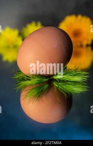 Image of a brown free range egg on a bed of green spiky leaves on a reflective surface in warm light. With in the background yellow spring flowers Stock Photo
