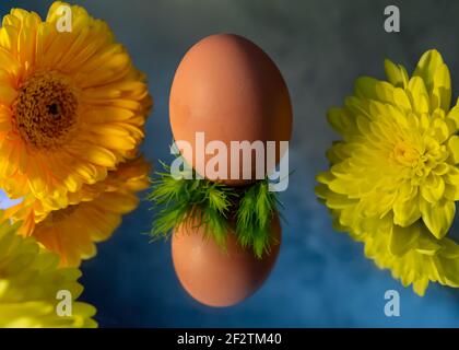 Image of a brown free range egg on a bed of green spiky leaves on a reflective surface in warm light. With in the background yellow spring flowers Stock Photo