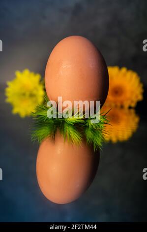 Image of a brown free range egg on a bed of green spiky leaves on a reflective surface in warm light. With in the background yellow spring flowers Stock Photo