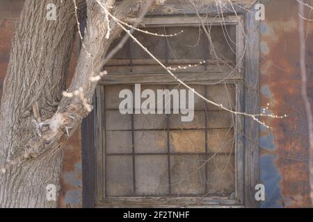 Closed window on old building with iron bars. Rust and peeling paint on walls of facade. Stock Photo