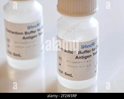 Wondfo Covid-19 or Corona Antigen Test for quick testing Stock Photo