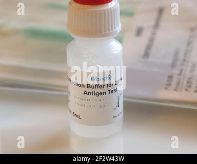 Wondfo Covid-19 or Corona Antigen Test for quick testing Stock Photo