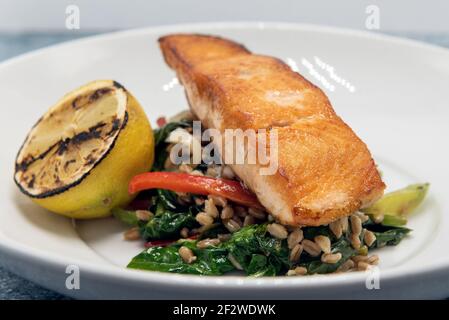 Pan roasted salmon seasoned perfectly on top a pile of barley and garnished with grilled lemon slice. Stock Photo