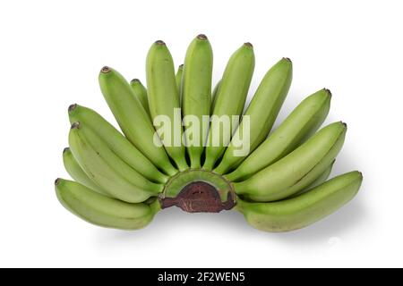 Bunch of green mini bananas isolated on white background Stock Photo