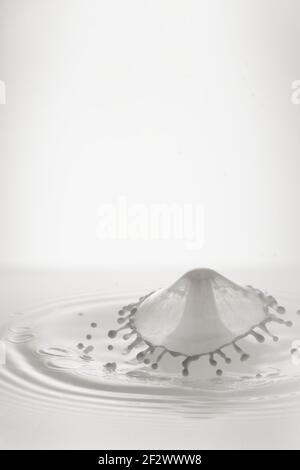 Beautiful splash on the milk liquid surface from falling two drops of milk Stock Photo