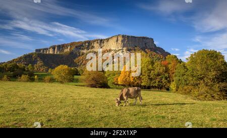 Cingles d'Aiats cliffs, seen from the Coll del Bac mountain pass in autumn (Collsacabra, Catalonia, Spain) ESP: Acantilados de los Cingles d'Aiats Stock Photo